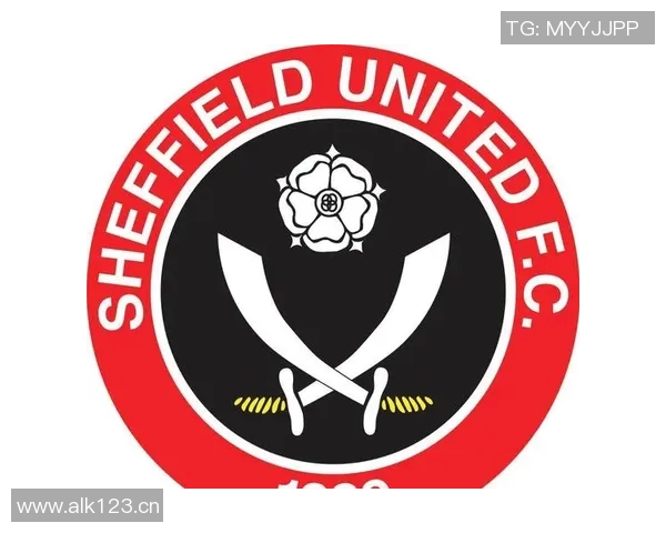 英超球队高清队徽：展示英超各球队的高清队徽。